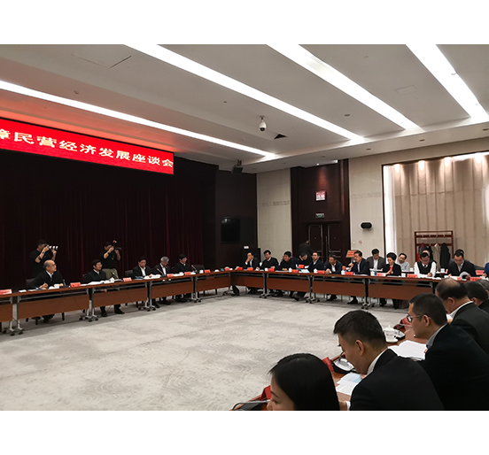 全國人大代表、方大集團(tuán)董事長熊建明參加檢察機(jī)關(guān)服務(wù)保障民營經(jīng)濟(jì)發(fā)展調(diào)研座談會